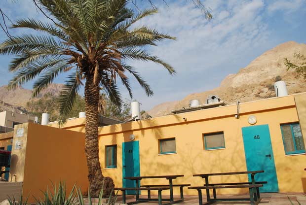 Günstige Übernachtungen in der Judäischen Wüste Ein Gedi Hostel 
